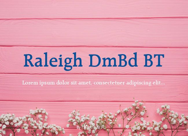 Raleigh DmBd BT example